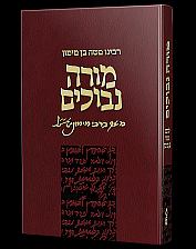 Moreh Nevuchim (Hebrew)